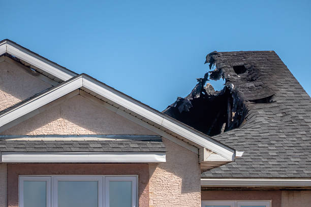 Top rated local Odor Removal specialists in Elkins Park, PA